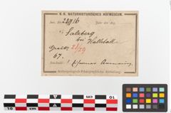 Etiketten zu Eisenring (NHMW-PRAE-023716)
